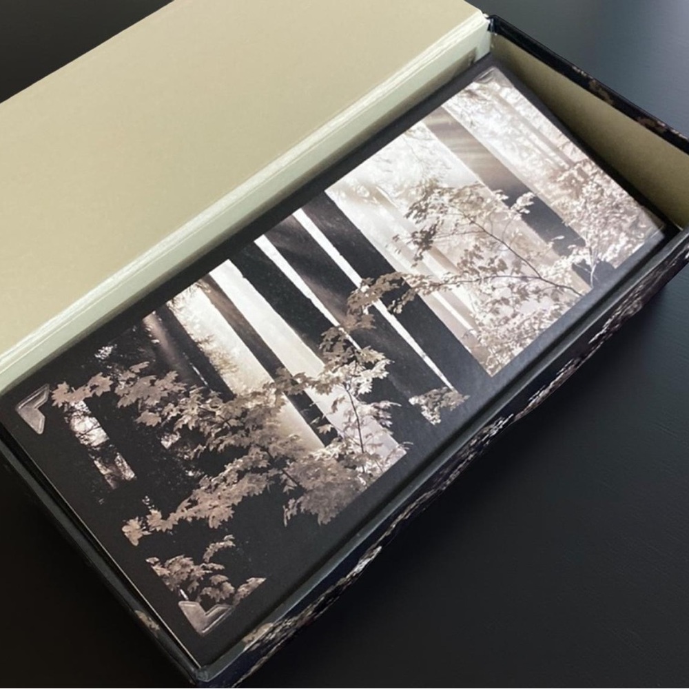 13 Large Cards / Rectangular Forest Stationary / Woods / Trees